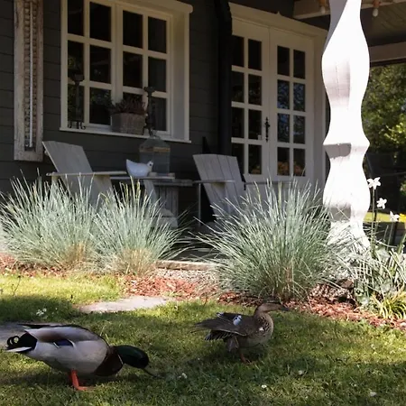 D'hotes - Les Daims - Petit Dej & Wellness Inclus * Fauvillers