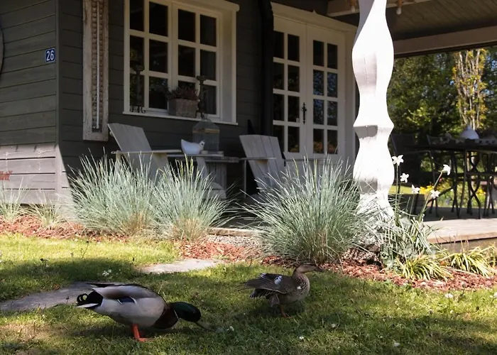 D'hotes - Les Daims - Petit Dejeuner Inclus * Fauvillers